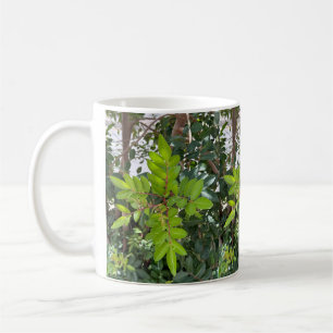 Taza De Café Green Leaves Mug - Foto botánica de Tenerife