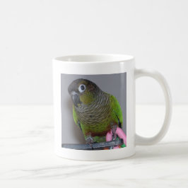 Taza De Café Greencheek adorable Conure