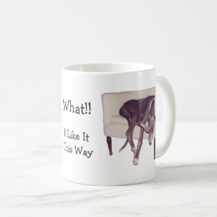 Taza De Café Greyhound Dormiendo En La Silla Graciosamente