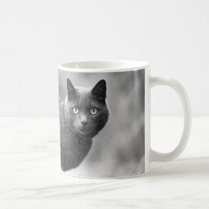 Taza de café gris del gato