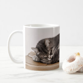 Taza De Café Gris Gris Gris Cuidadoso Gato Durmiendo En La Caja