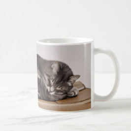 Taza De Café Gris Gris Gris Cuidadoso Gato Durmiendo En La Caja