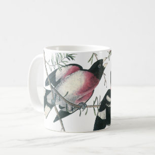 Taza De Café Grosbeak con pecho Rosa de Audubon