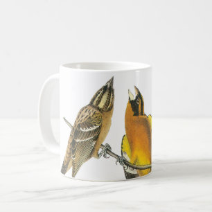 Taza De Café Grosbeak de cabeza negra por Audubon