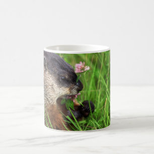 Taza De Café Groundhog que come a los enamorados