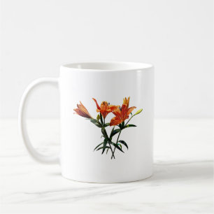 Taza De Café Grupo de Naranjas Lilies