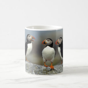 Taza De Café Grupo de Puffin del Atlántico