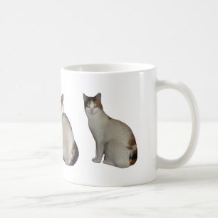 Taza De Café Grupo del calicó