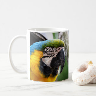 Taza De Café Guacamayo azul y amarillo