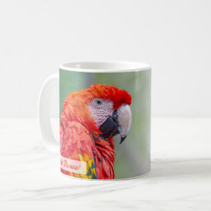 Taza De Café Guacamayo Escarlata Salmo 91:4 KJV