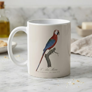 Taza De Café Guacamayo rojo y verde, Ara chloropterus