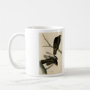 Taza De Café Guerrero negro (Halcón de cola roja) de aves auduó