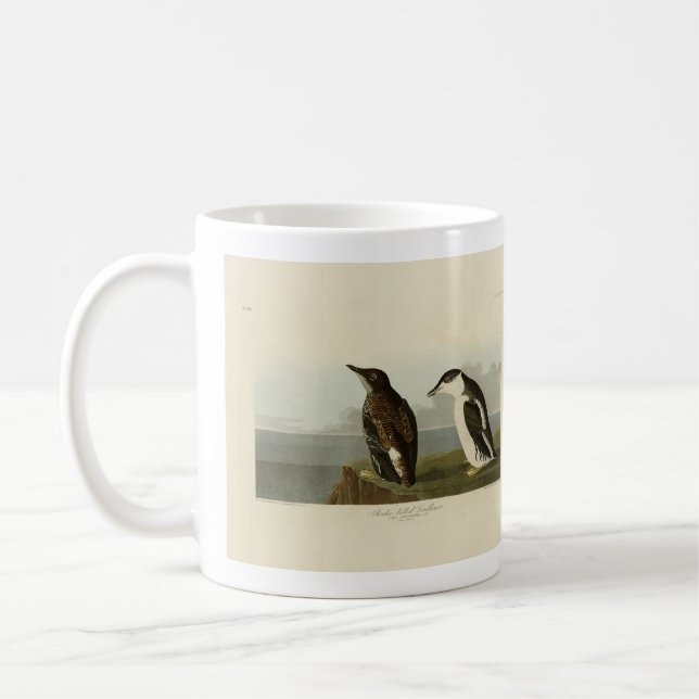 Taza De Café Guillemot con billetera delgante, Aves Audubon de  (Izquierda)