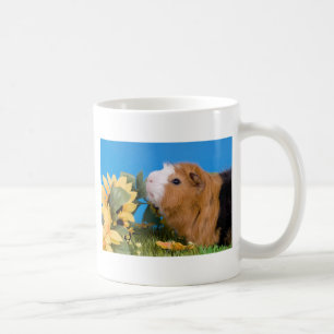 Taza De Café Guinea pig