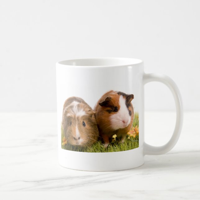 Taza De Café Guinea pigs se tiene lawn