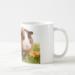 Taza De Café Guinea pigs se tiene lawn
