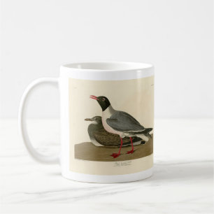 Taza De Café Gull de cabeza negra de los pájaros de América de 