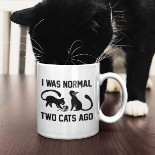 Taza De Café Hace Dos Gatos Era Normal