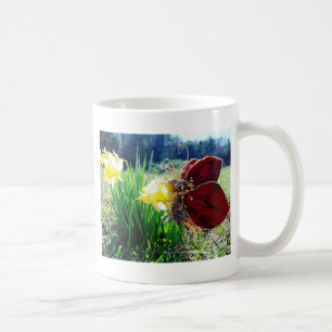 Taza De Café Hadas en los Daffodils