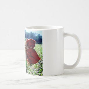 Taza De Café Hadas en los Daffodils
