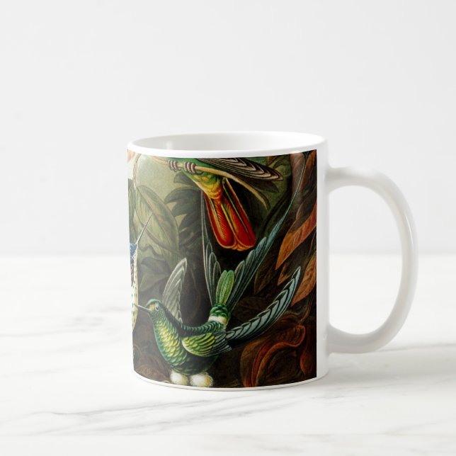 Taza De Café Haeckel Hummingbirds (Derecha)