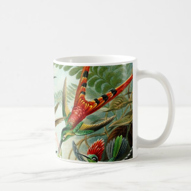 Taza De Café Haeckel Hummingbirds (Derecha)