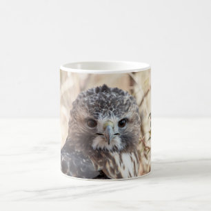 Taza De Café Halcón atado rojo