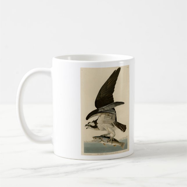 Taza De Café Halcón de pescado, Osprey, de los pájaros estadoun (Izquierda)