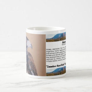 Taza De Café Halcón Harris inmaduro