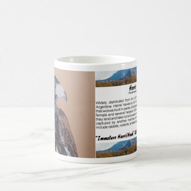Taza De Café Halcón Harris inmaduro (Centro)