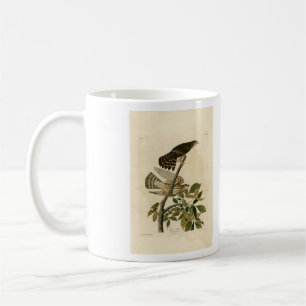 Taza De Café Halcón pichón (Merlin) - Aves de América de Audubo