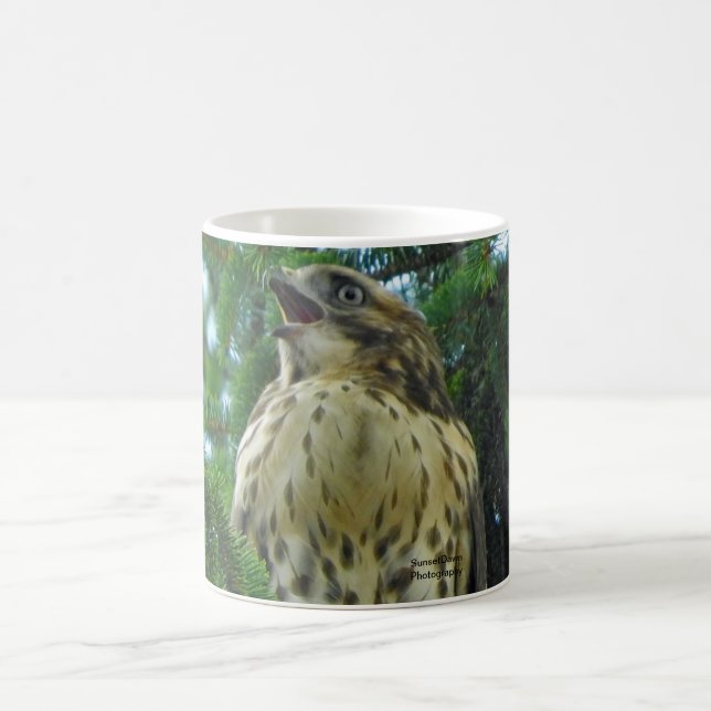 Taza De Café Halcón rojo (Centro)