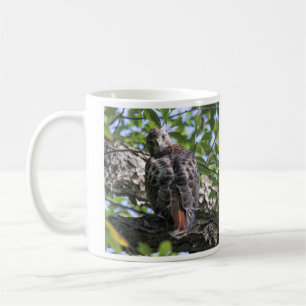 Taza De Café halcón Rojo-atado