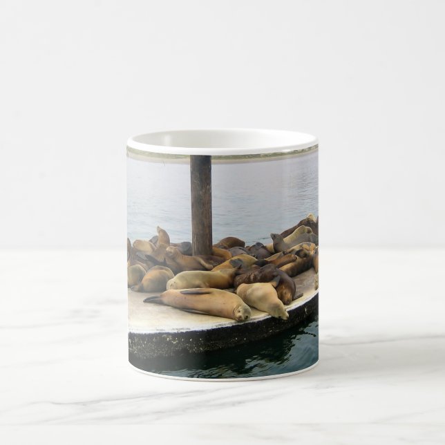 Taza De Café Harbour Seals, Morro Bay, California (Centro)
