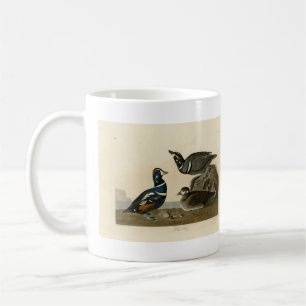 Taza De Café Harlequin Duck - de los pájaros estadounidenses de