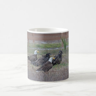 Taza De Café Harriet M15 E10 y E11