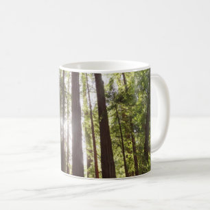 Taza De Café Hasta las secuoyas por la mañana