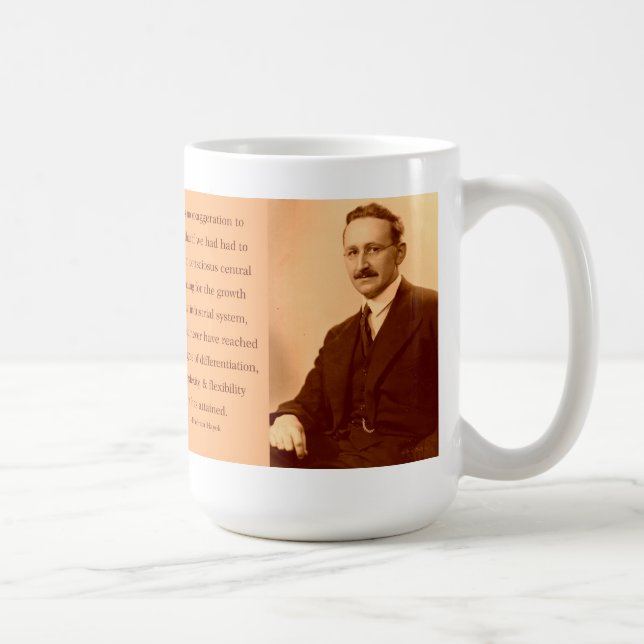 Taza De Café Hayek en el planeamiento central (Derecha)