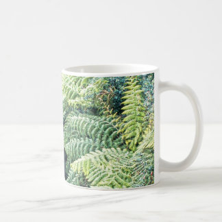 Taza De Café Helechos de árbol australianos