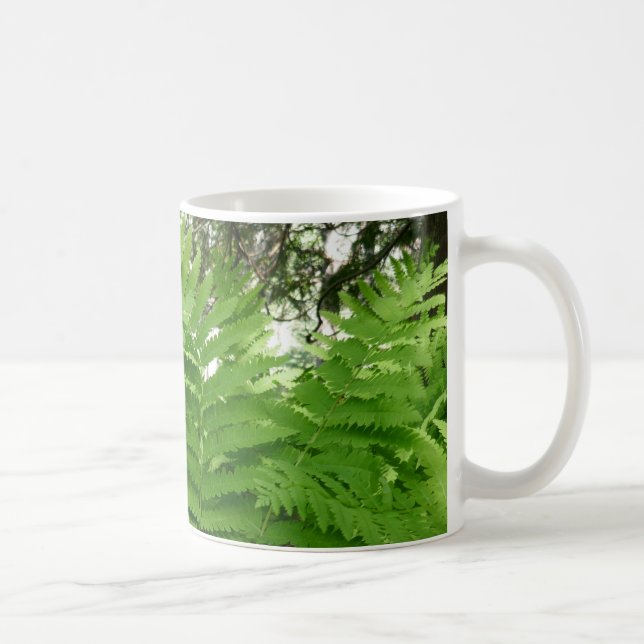 Taza De Café Helechos IV Verde Naturaleza Botánica (Derecha)