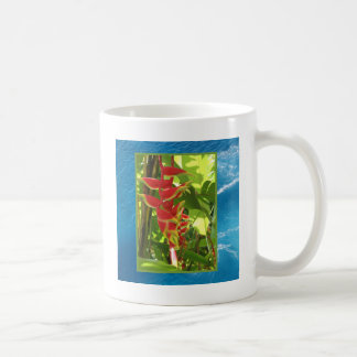 Taza De Café Heliconia rostrata