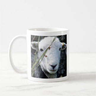 Taza De Café Herdwick ewe mug