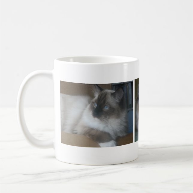 Taza de café hermosa del gato de Hymalayan Ragdoll (Izquierda)