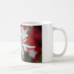 Taza De Café Hermosa Edelweiss Leontopodium nivale