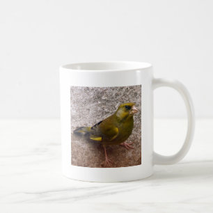 Taza De Café Hermosa Finch