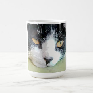Taza De Café Hermosa Gatita descansando