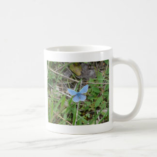 Taza De Café Hermosa Mariposa Azul