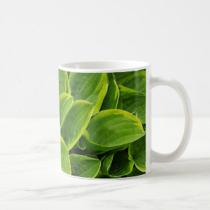 Taza De Café Hermosa planta de hosta verde