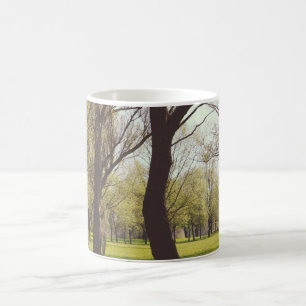 Taza De Café Hermosa pradera