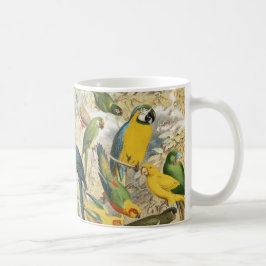 Taza De Café Hermosas aves tropicales de colores